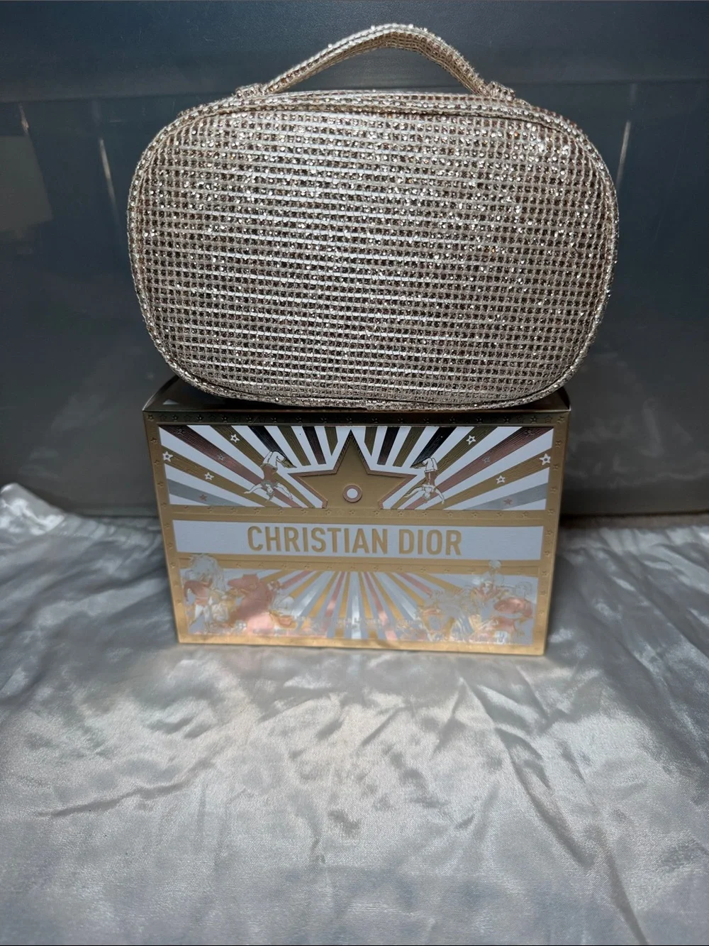 Dior Metallic Gold Mesh Cosmetic Case